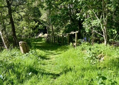Pathway to the Bridge