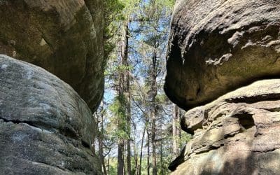 The Rocks at Warren Forest
