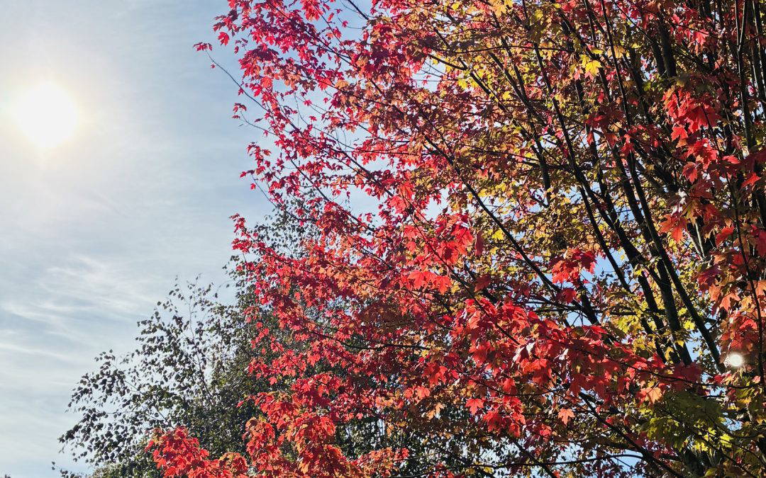 October Skies & Social