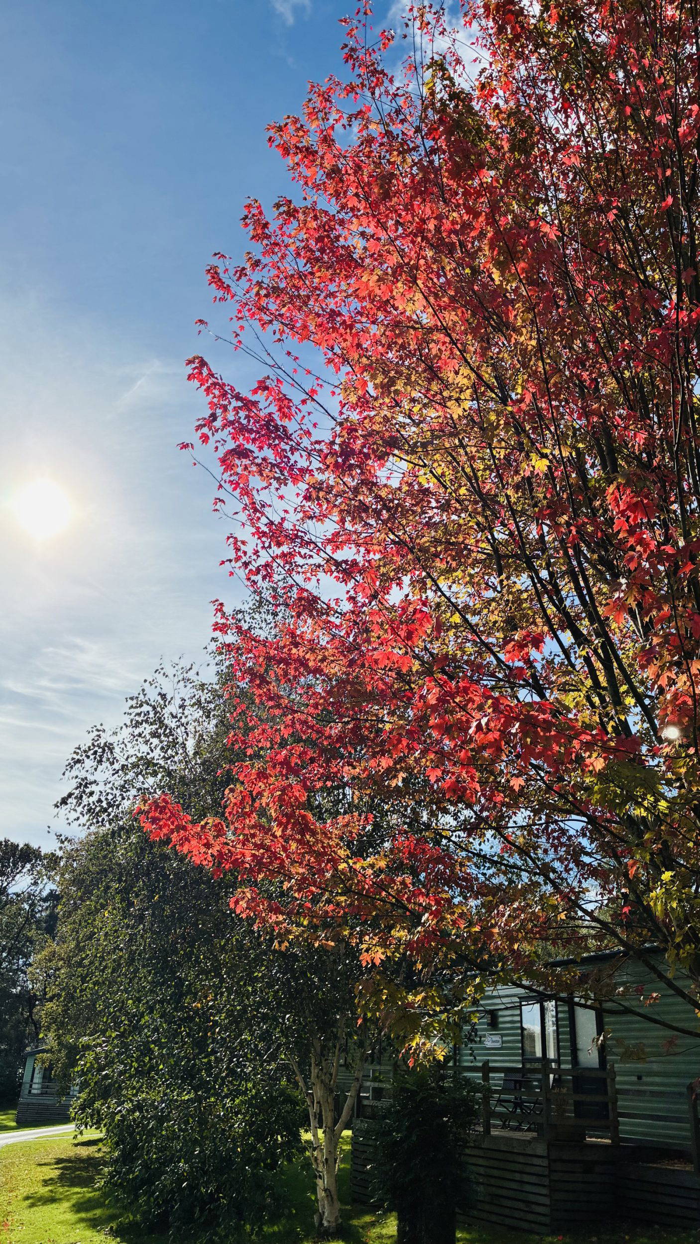 October Skies & Social